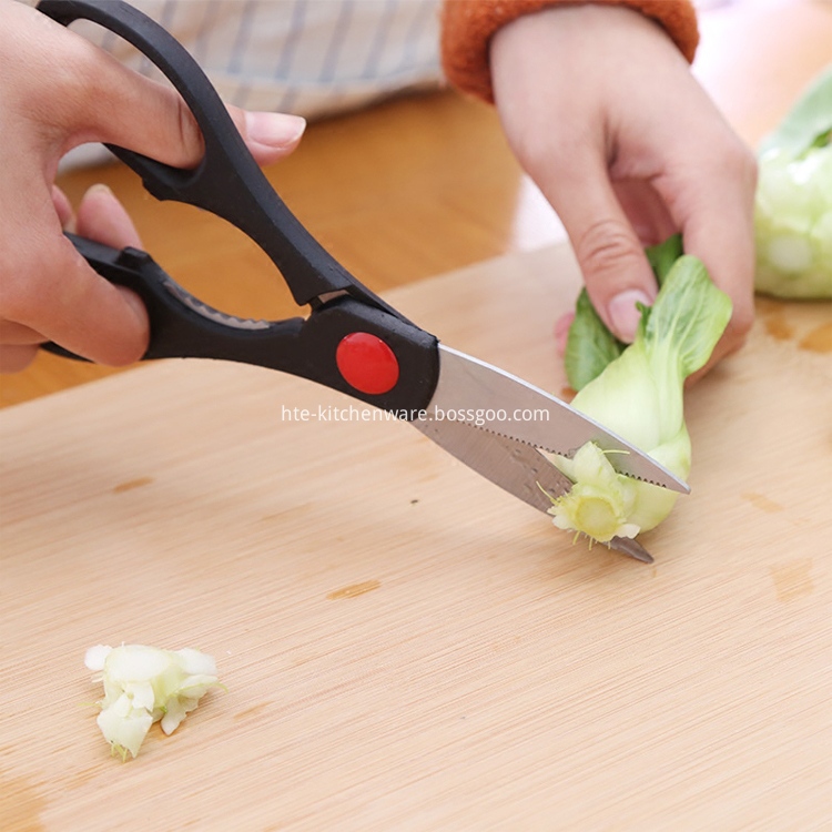 Household Kitchen Scissor