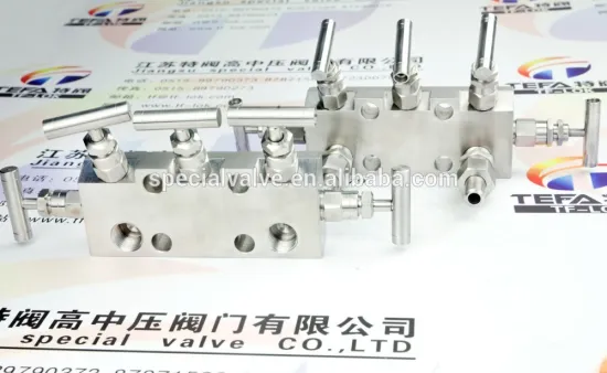 5 manifolds valve manufacturer