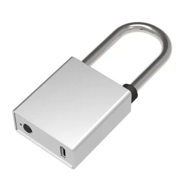 Stainless Steel Smart Electronic Passive Lock