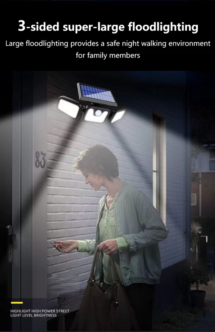 Solar Garden Light(13)