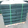 Plastic Garden Wire Netting