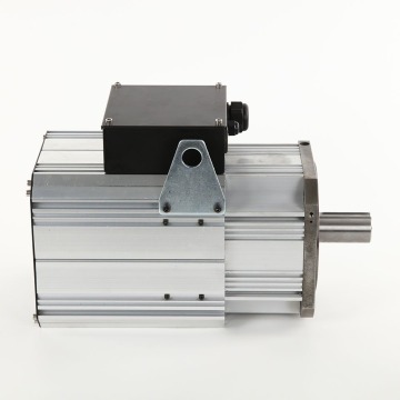 Permanent Magnet Synchronous Motor for Electric Vehicles