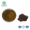 Chaga Mushroom Extract Powder Polysaccharide 30%