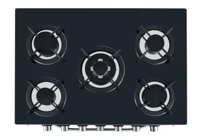 Integrated Steaming and Roasting Stove