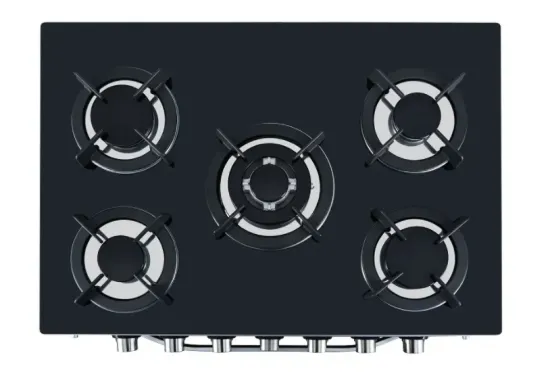 Integrated Steaming and Roasting Stove