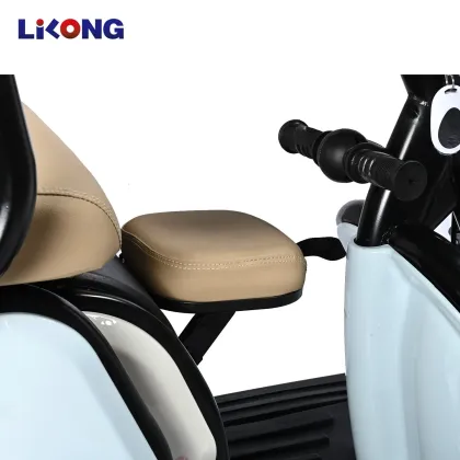 Exporting Foldable Electric Leisure Tricycles to South East Asia