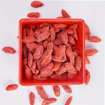 Natural and Organically Grown Goji berry bulk