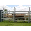 Corral Panel Cattle Yard Clôture de bétail galvanisé