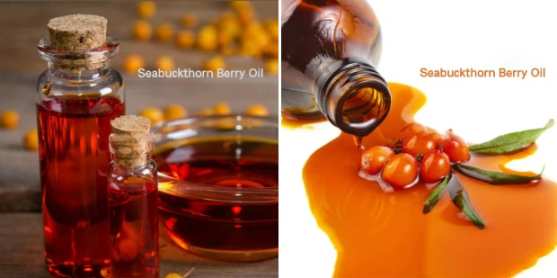 sea buckthorn oil