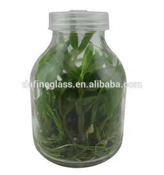 plant tissue culture glass vessels container plant culture glass jar