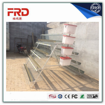 Trade assurance 100% payment guarantee factory chicken wire cage rock wall with long working time