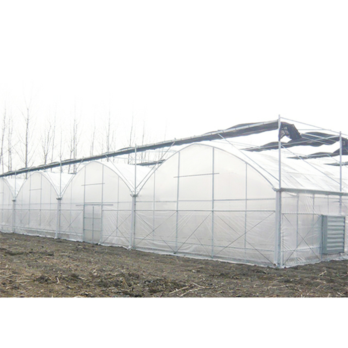 Multi Span Plastic Film Greenhouse For Agriculture