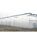 Multi Span Plastic Film Greenhouse For Agriculture