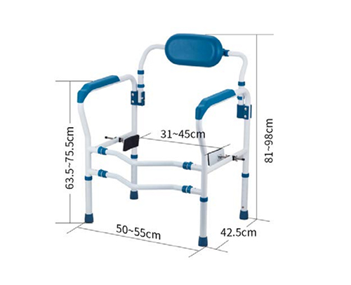 Toilet Safety Rails 4 Jpg