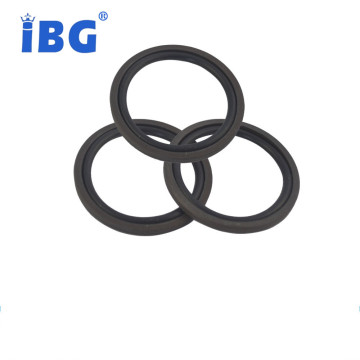 Hydraulic Cylinder Seal Piston Glyd Ring