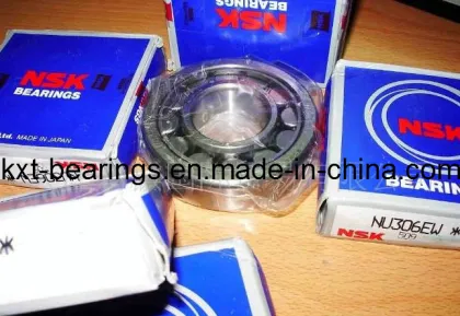Original NSK Bearing, NSK Auto Bearing, NSK Roller Bearing
