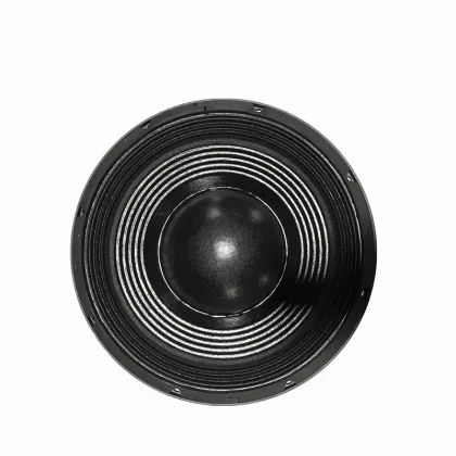subwoofer 12 zoll 800w RMS 18" PA subwoofer