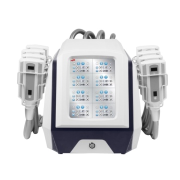 Kryo -Therapie Fett auflöste Eisculpting Machine zur Hautstraffung und Körperformung