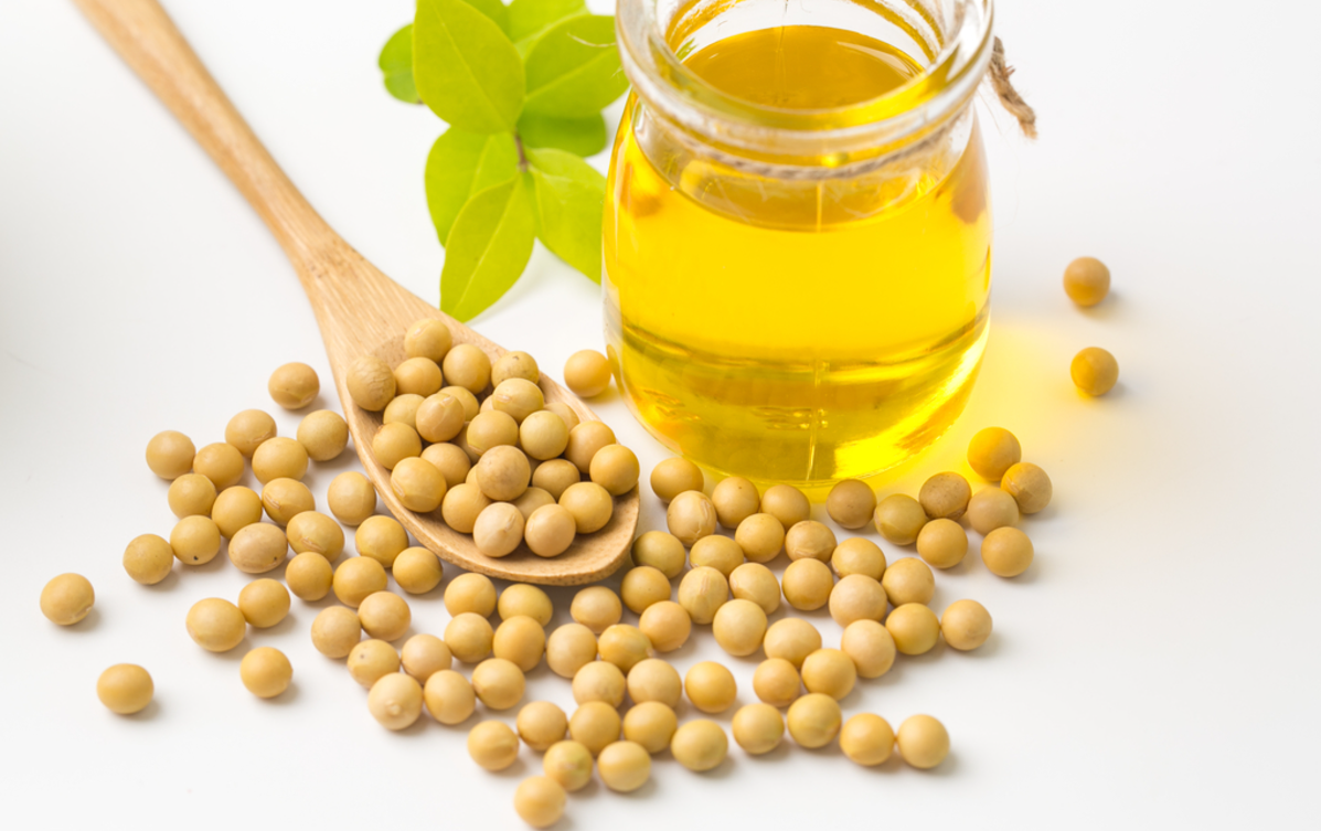 soybean oil press machine for sale