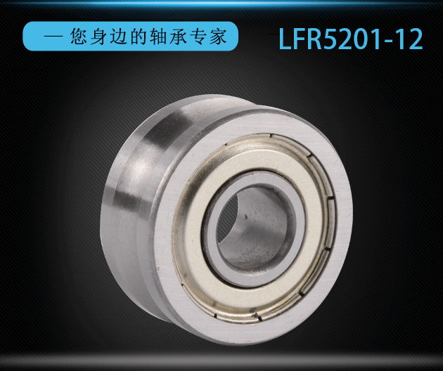 Double Row Angular Contact Bearing LFR 5201-12