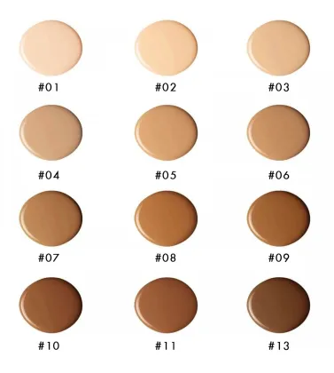 Air Cushion CC Cream with Full Coverage for Private Label Makeup