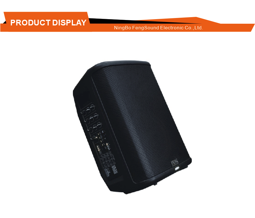 Reverb Effect Portable PA System