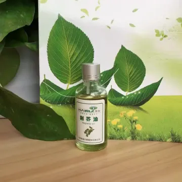 Natural Pure Nepeta Oil essential oil fragrance