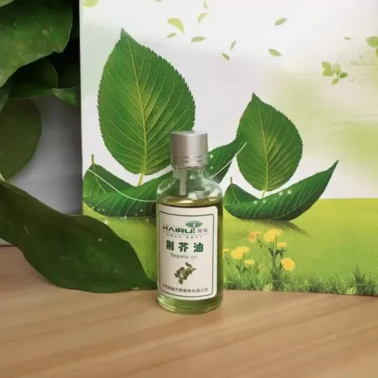 Natural Pure Nepeta Oil essential oil fragrance