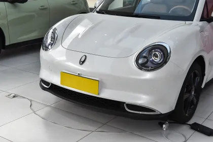 Used Car Prices for Great Wall Motor Euler Good Cat 2024 401km Comfort Model