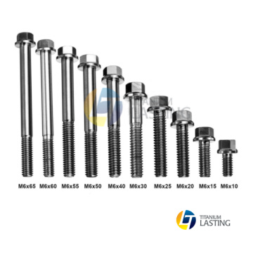 M6X10 20 60 Titanium Bolt