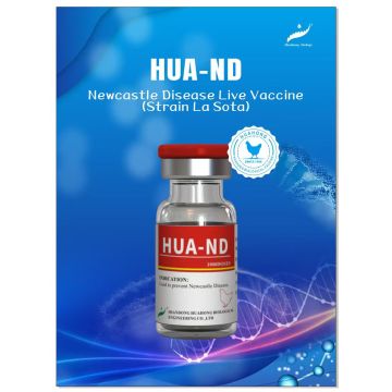 Vaccin viu liofilizat ND/IB HB1+H120 pentru păsări