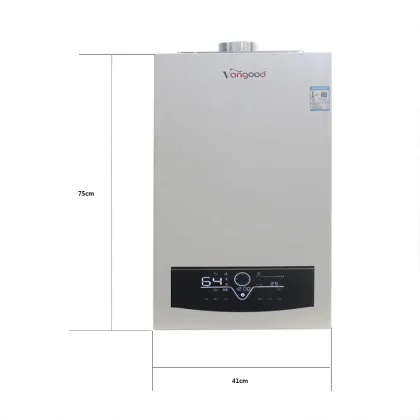 Wall-Mounted Natural Gas Combi Boilers for Home Heating & Hot Water