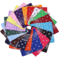 /msite/products/detail/productid/63701724/id/1544993.html