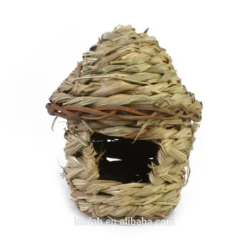 Buy and Sell Swallow Bird Nes