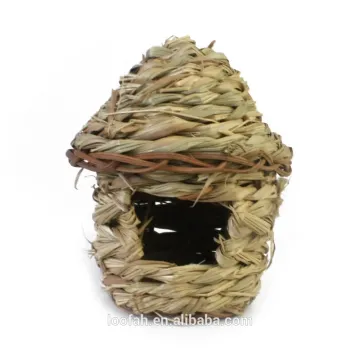 Buy and Sell Swallow Bird Nes