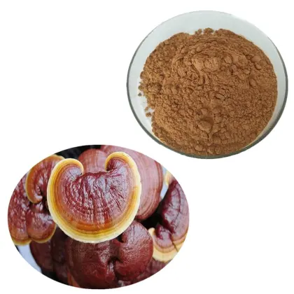 Ganoderma lucidum spore powder