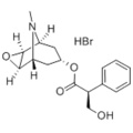 Scopolamine hidrobromid CAS 114-49-8