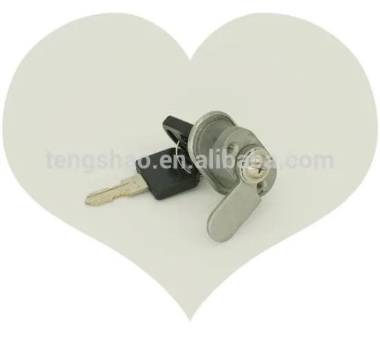 customized stainless steel face locker lock for freezer