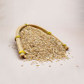 High Quality Hot selling natural white sesame seed