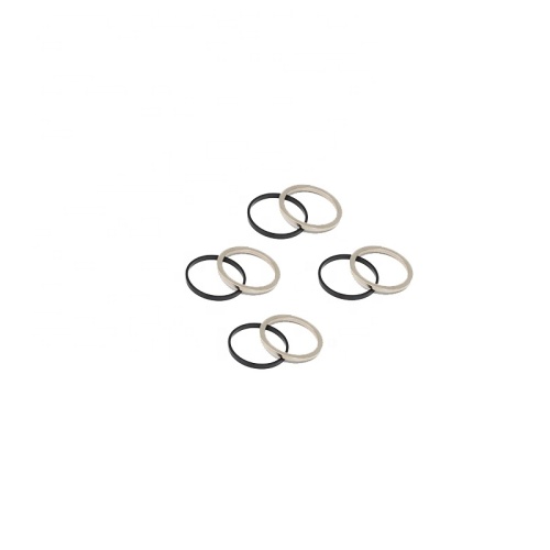 thin ring permanent Rare earth Neodymium Magnet