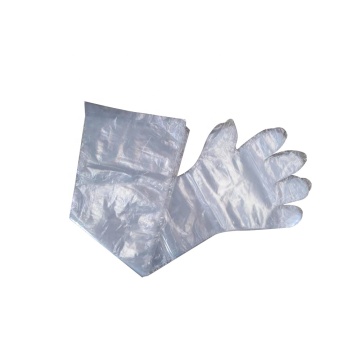 Transparent long arm veterinary glove