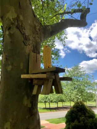 Eastommy hot selling Squirrel Feeders, squirrel picnic table feeder, squirrel feeder picnic table