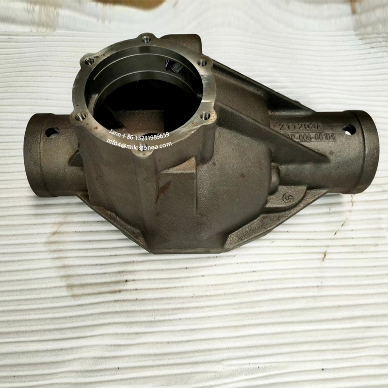 Chinese casting manufacturer American pickup truck iron axle parts rear housing 211203A in middle section
