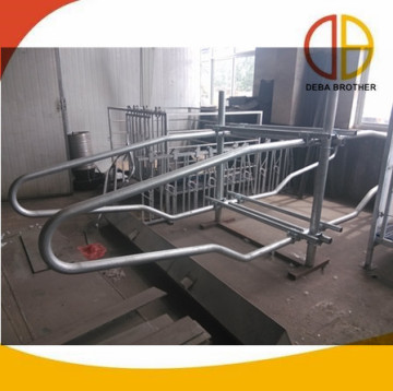 Cattle Farm Double Free Stalls and Cubicle Cow Stalls