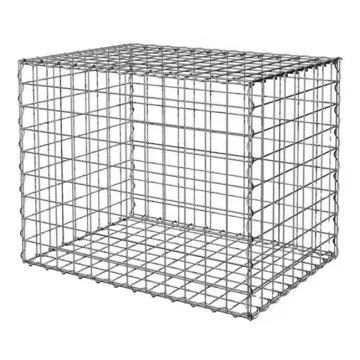 Galvanized Steel Gabion Mesh: ASTM Compliant 2x1x1 HDG Cage Wire Mesh