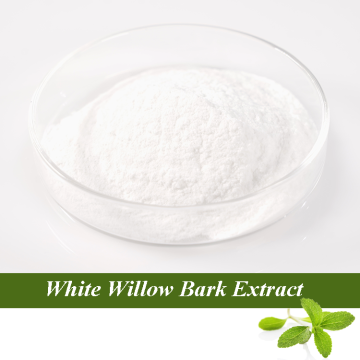 Antibacterial ingredients of White Willow Bark Extract