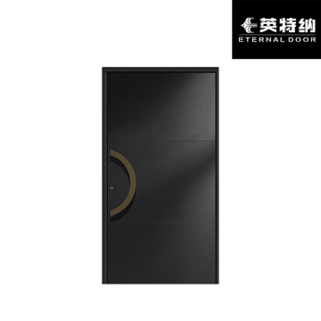 Personalized Aluminum Panel Door for Private Urban Home