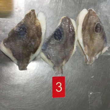 Frozen Zeus Faber John Dory Fillets