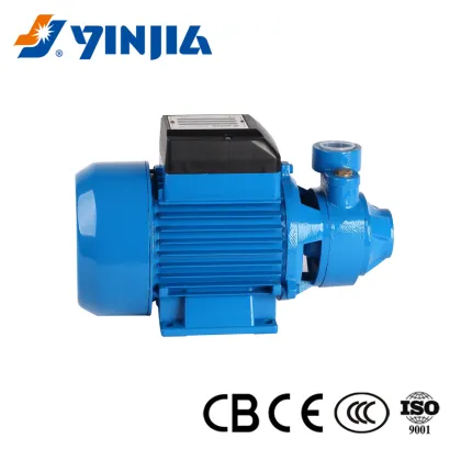 0.5 HP Peripheral Pump
