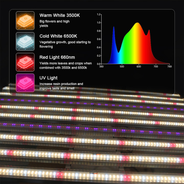 lightグリーンハウスを育てる1200W LED Growlights